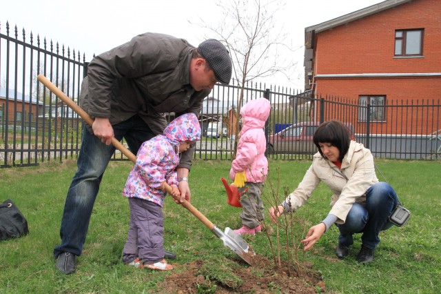 ������� ��������IMG_6735.jpg